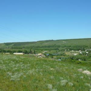 Вид на западную часть села Александровки. 7 июня 2009 года