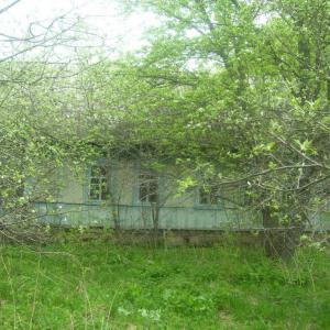дом в селе Крапивне