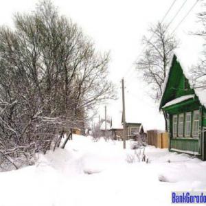 Деревня Будово зимой