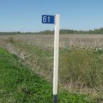 Дорожный указатель «61» - 61 км от Дедовичей по дороге Дедовичи - Дно - Костыжицы.
