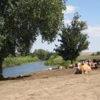 Петропавловка, на речке Бердия.