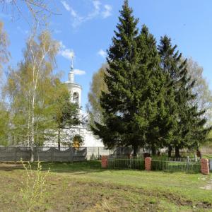 Вид центральной части села Черниж. Апрель 2012 г. Фото: М. Российский