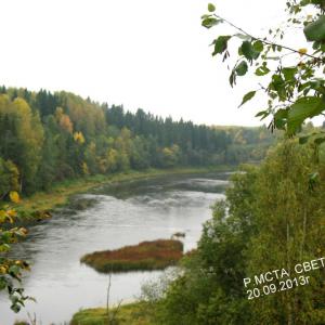 Река Мста около деревни Большие Светицы, сентябрь 2013 г.