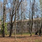 Парк на территории института Зернобобовых культур