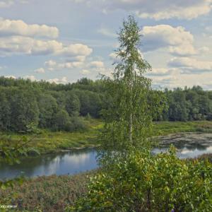 Река Яхрома, близ села. Август 2014 г. Фото: Анатолий Максимов.