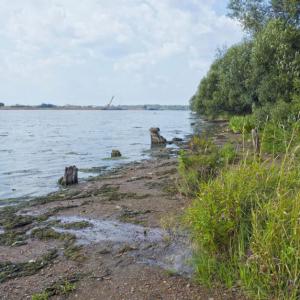 Река Волга, близ деревни Абрамово. Август 2014 г. Фото: Анатолий Максимов.