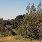 Река Держа, недалеко от деревни. Август 2011 г. Фото: Анатолий Максимов.