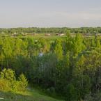 Деревня Брячково. Май 2012 г. Фото: Анатолий Максимов.