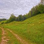 Дорога, недалеко от деревни. Июнь 2012 г. Фото: А. Максимов.