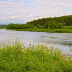 Река Волга, июнь 2012 г. Фото: Анатолий Максимов.