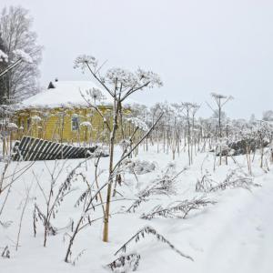 Деревня Парфеново, февраль 2015 г. Фото: Анатолий Максимов.
