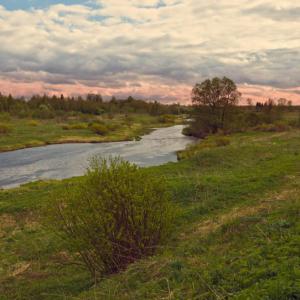 Река Тьма, рядом с деревней Кунганово. Май 2014 г. Фото: Анатолий Максимов.
