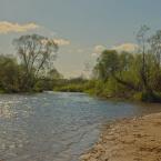 Река Тьма около деревни, май 2014 г. Фото: Анатолий Максимов.