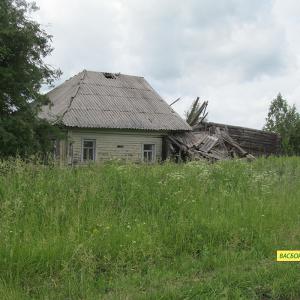 Руины дома в деревне Горка. Фото: Василий Пирогов.
