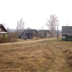 Деревня Малое Васильково (Тверская область)