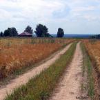 Грунтовая дорога к деревне Погорелово
