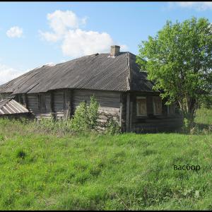 Дом в деревне Скоморохово. Фото: В. Пирогов.