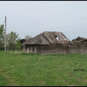 Руины жилого дома в Васильевском. Фото: В. Пирогов.