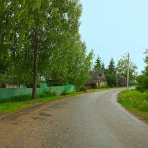 Деревня Малое Коробино. Июнь 2017 г. Фото: Анатолий Максимов.