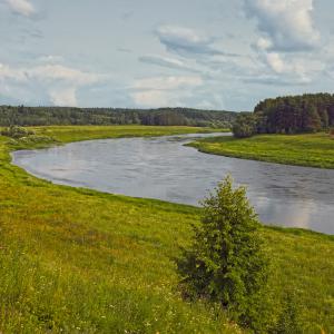 Река Волга в районе деревни Родня. Июль 2013 г. Фото: Анатолий Максимов.