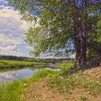 Река Осуга, около села Пятница Плот. Июнь 2014 г. Фото: Анатолий Максимов.