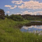 Река Осуга, около села. Июнь 2014 г. Фото: Анатолий Максимов.