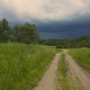 Дорога от деревни, июнь 2014 г. Фото: Анатолий Максимов.