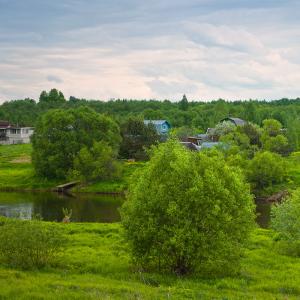 Деревня Брячково. Май 2021 г. Фото: Анатолий Максимов.