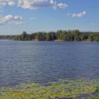 Река Хотча рядом с Белым Городком. Июль 2014 г. Фото: Анатолий Максимов.
