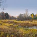 Река Логовежь, рядом с посёлком Раек. Октябрь 2014 г. Фото: Анатолий Максимов.