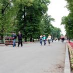 Главная аллея Александровского сада, июнь 2012 г. Фото: А. Востриков.