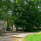 В Опухликах расположен  санаторий, он находится в красивом сосновом парке и называется «Голубые озера». Принимает на лечение как взрослых, так и родителей с детьми. Фото И.Новиковой