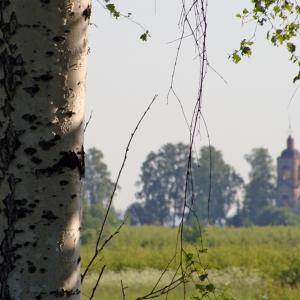 Вид на церковь Благовещения Пресвятой Богородицы села Солонец