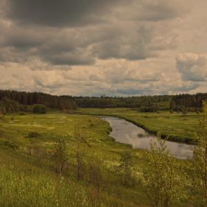 Река Осуга, недалеко от села Красное. Июнь 2014 г. Фото: Анатолий Максимов.
