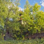 Покровская церковь (деревня Гайново). Июнь 2014 г. Фото: Анатолий Максимов.